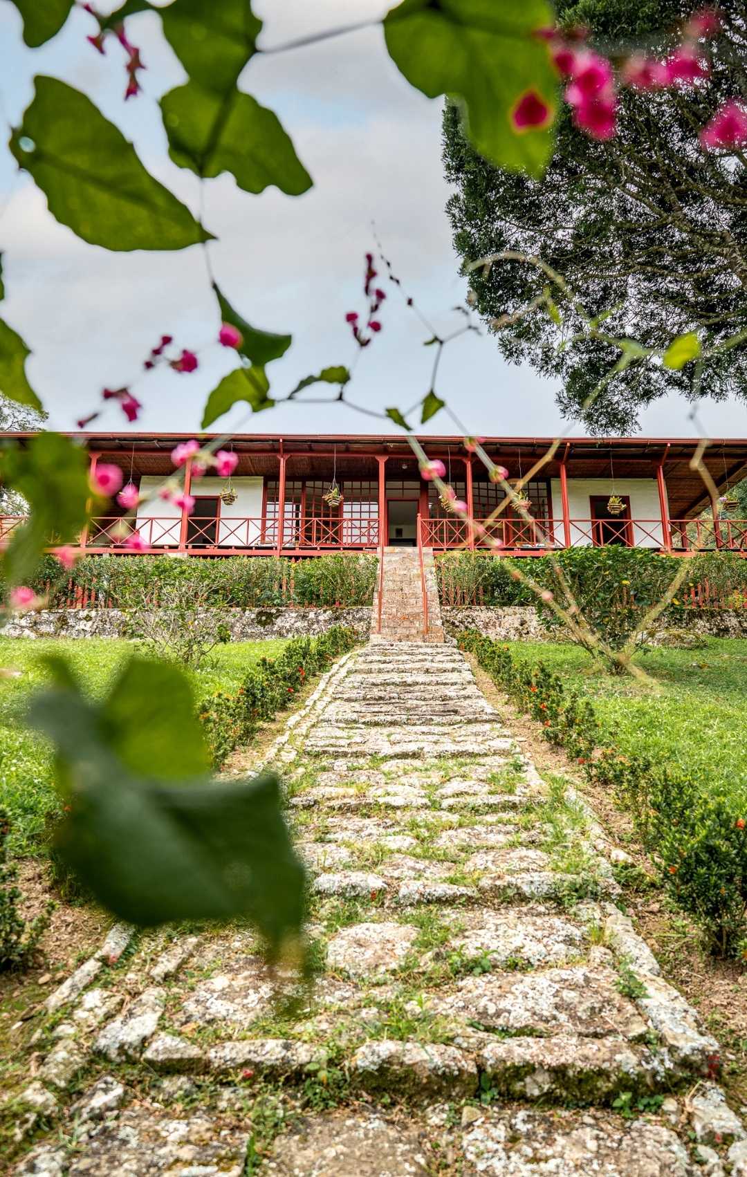 La Trinidad Coffee Plantation Tour