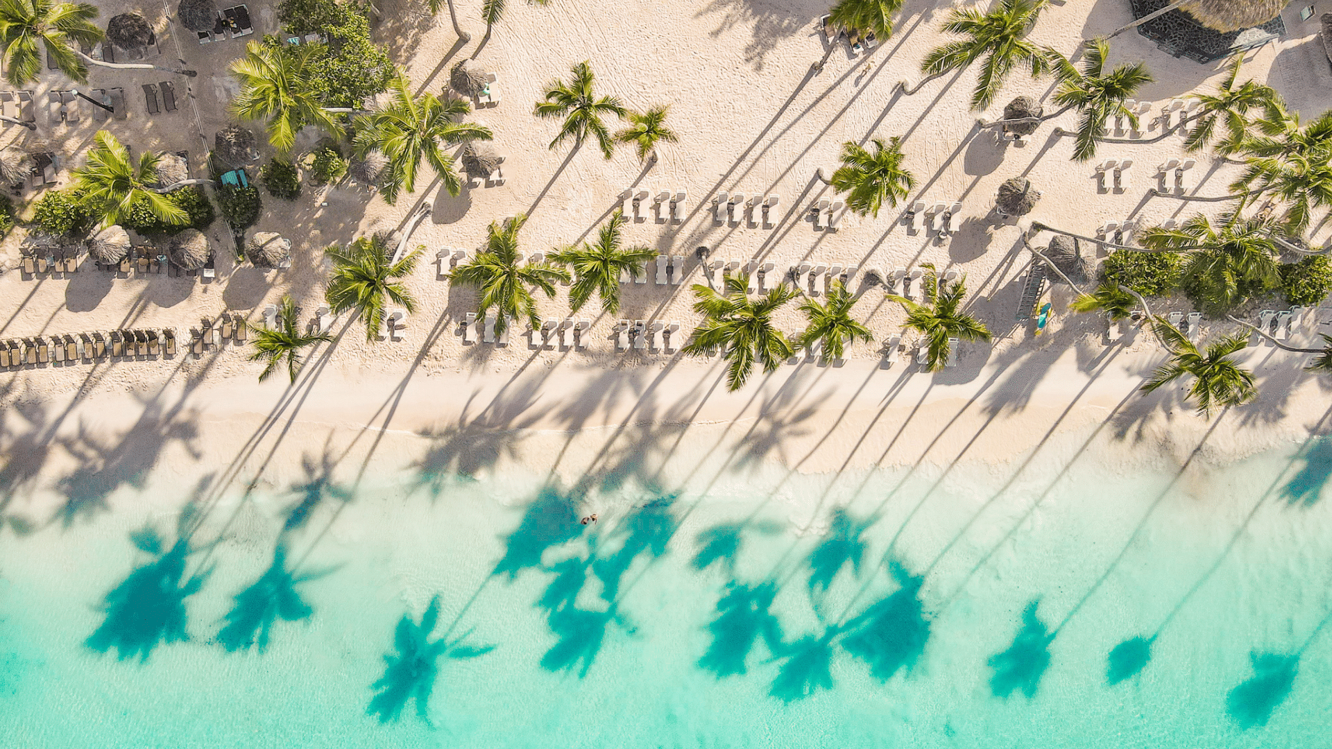 Hilton La Romana Beach Skye Media